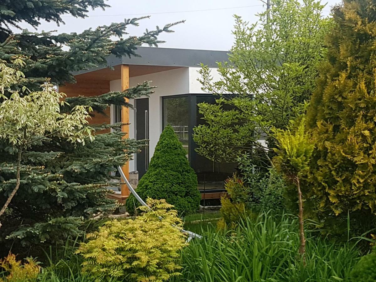 Noclegi Beata Dąbki Exterior foto