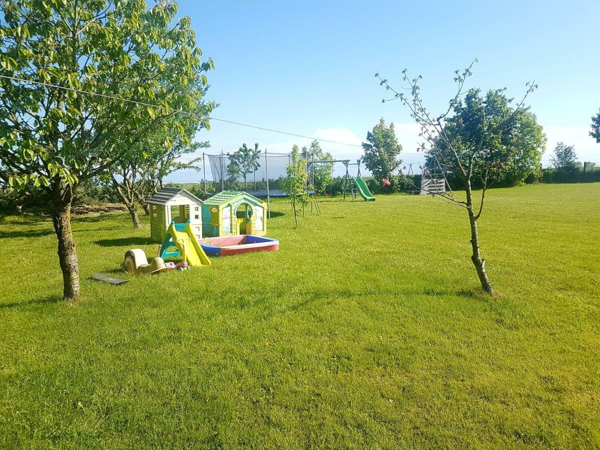 Noclegi Beata Dąbki Exterior foto